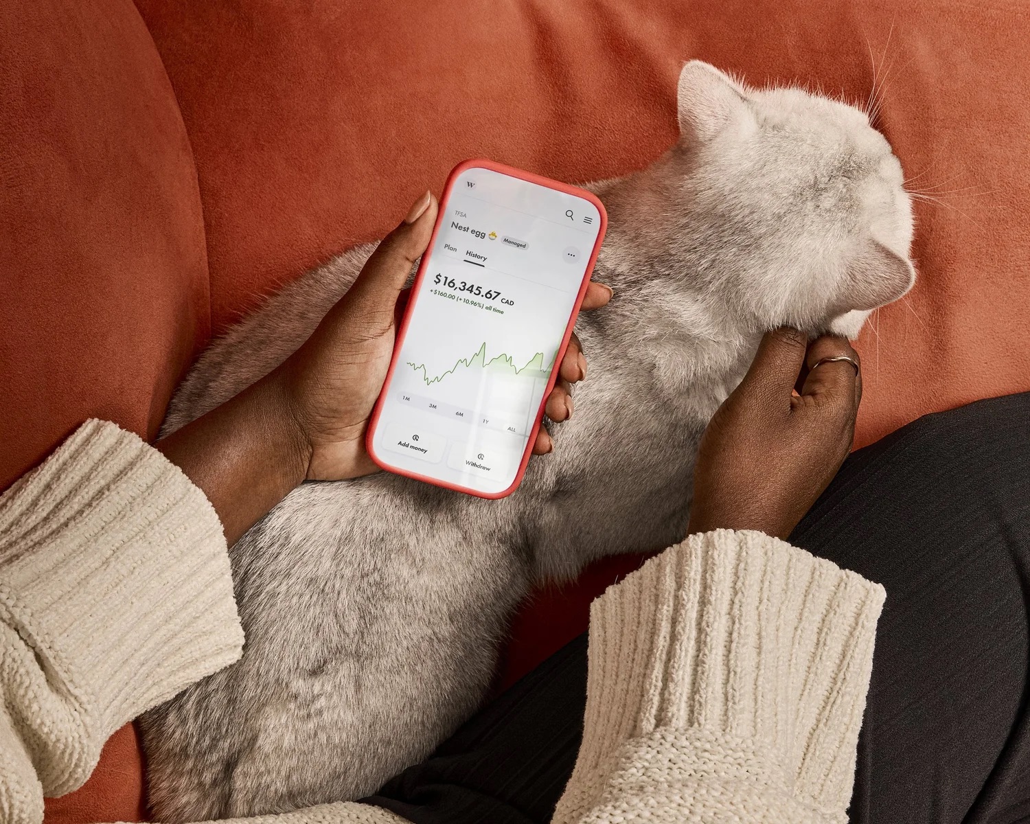 Smartphone resting on a cat with hands nearby in a cozy lifestyle scene