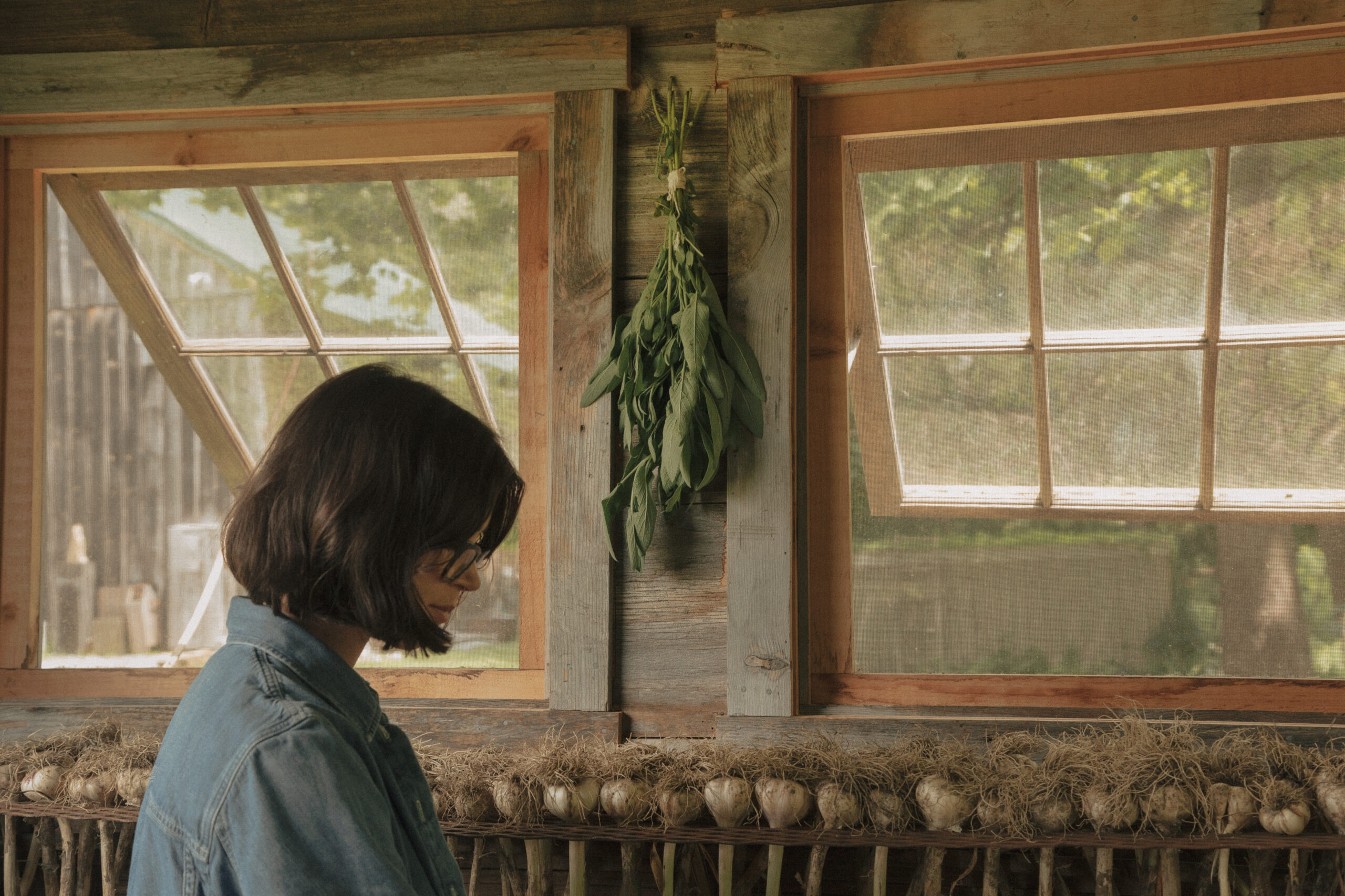 Person seen from behind at a window, looking out from an interior space with warm daylight.