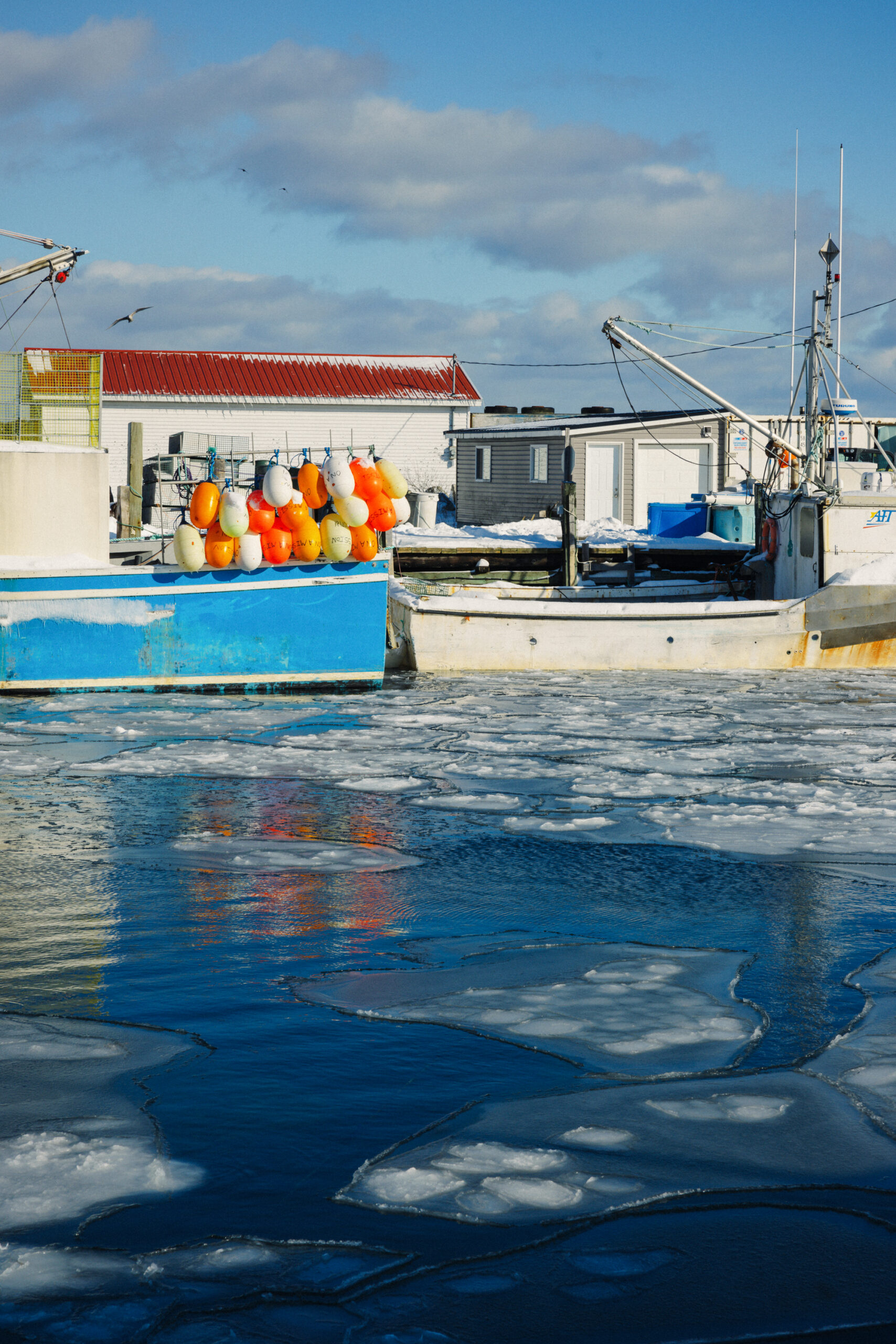 Fishing boats docked on calm water with reflections